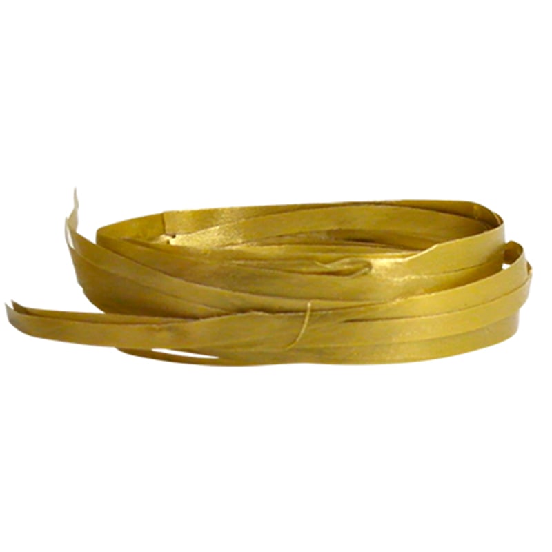 Raphleneband guld - 1