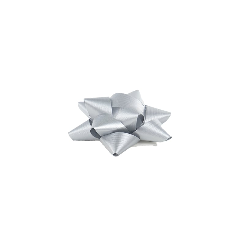 Presentrosett matt silver - 1