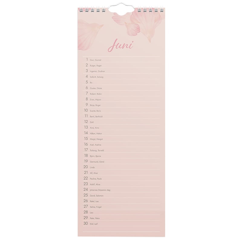 Födelsedagskalender för vägg - 4