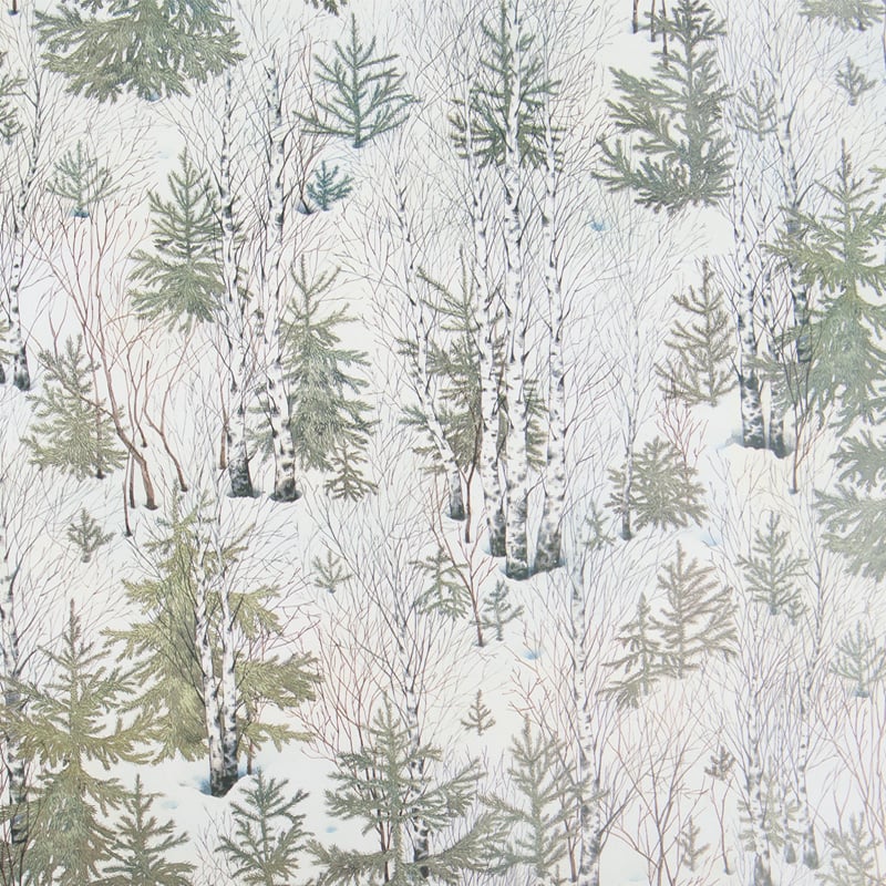 Presentpapper Birch - 1